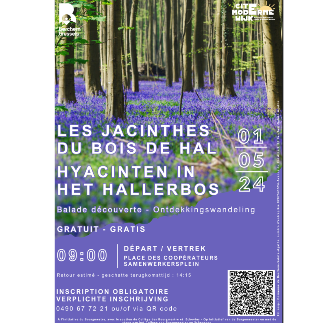 Read more about the article Découvrez le secret des jacinthes des bois le mercredi 1 mai !