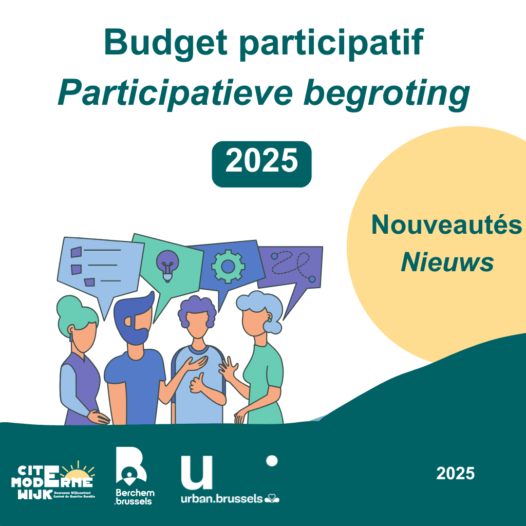 Je bekijkt nu Oproep tot burgerinitiatieven: begroting voor 2025