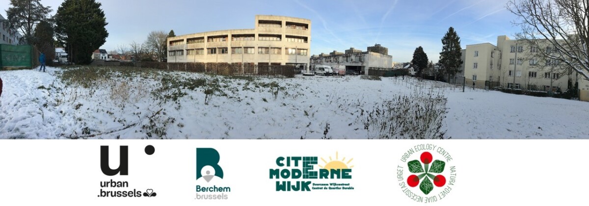 Read more about the article Contrat de Quartier Durable Cité Moderne : Programme Biodiversité Cultivée – Premier Trimestre 2025